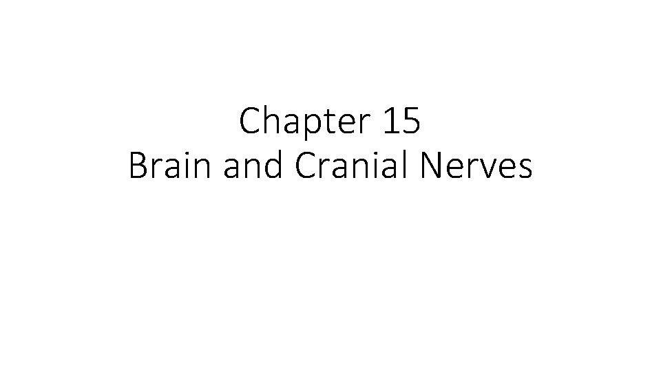Chapter 15 Brain and Cranial Nerves 