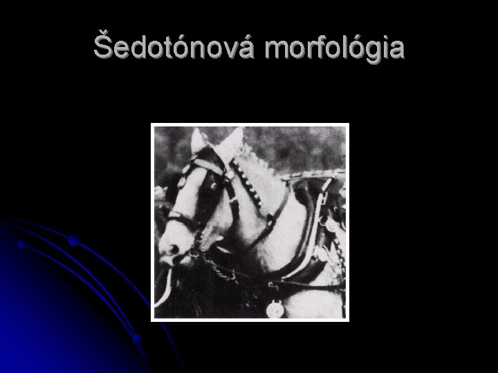 Šedotónová morfológia 