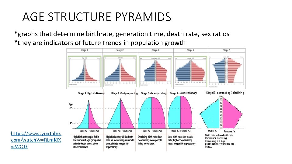 AGE STRUCTURE PYRAMIDS *graphs that determine birthrate, generation time, death rate, sex ratios *they