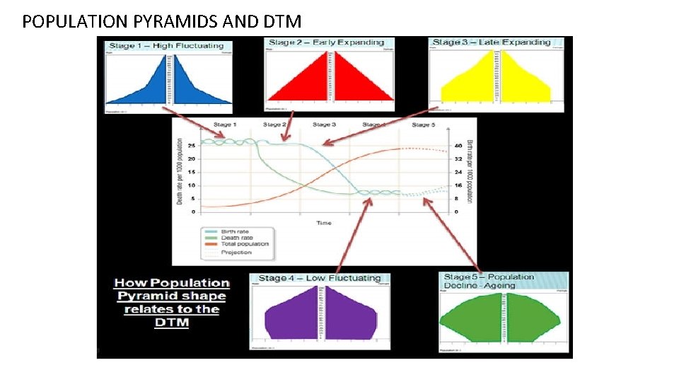 POPULATION PYRAMIDS AND DTM 