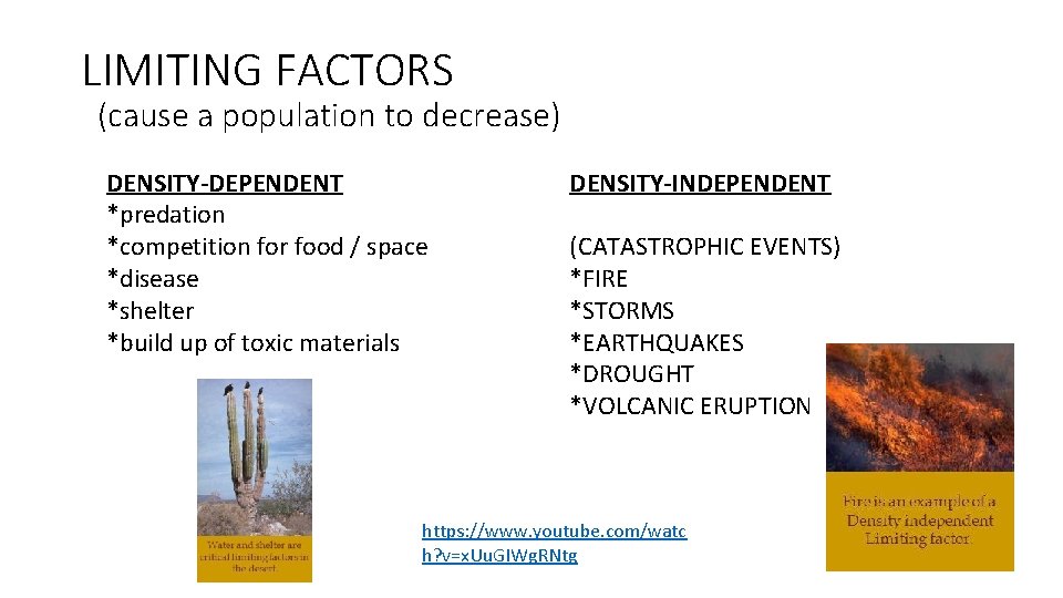 LIMITING FACTORS (cause a population to decrease) DENSITY-DEPENDENT *predation *competition for food / space