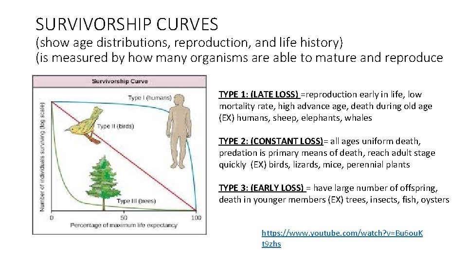 SURVIVORSHIP CURVES (show age distributions, reproduction, and life history) (is measured by how many