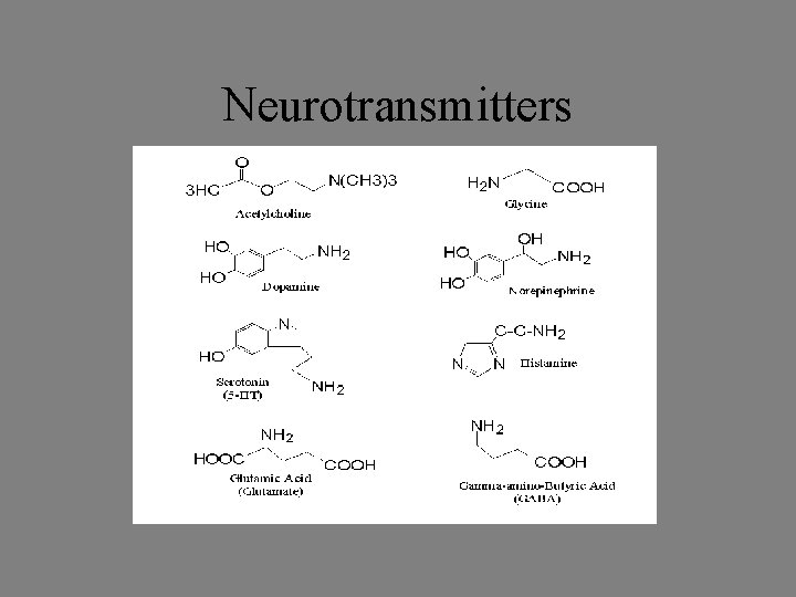 Neurotransmitters Neurotransmitters