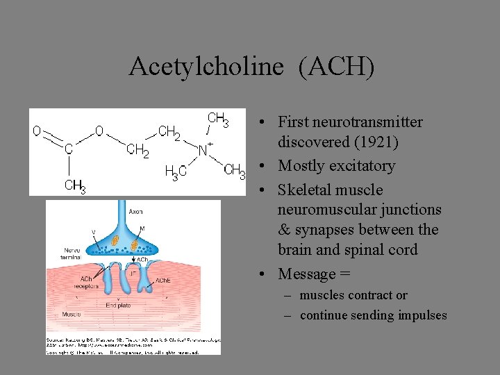 Acetylcholine (ACH) • First neurotransmitter discovered (1921) • Mostly excitatory • Skeletal muscle neuromuscular