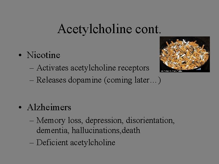 Acetylcholine cont. • Nicotine – Activates acetylcholine receptors – Releases dopamine (coming later…) •