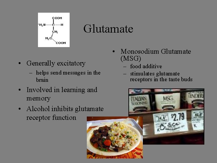 Glutamate • Generally excitatory – helps send messages in the brain • Involved in