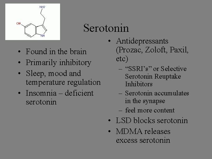 Serotonin • Found in the brain • Primarily inhibitory • Sleep, mood and temperature Serotonin • Found in the brain • Primarily inhibitory • Sleep, mood and temperature