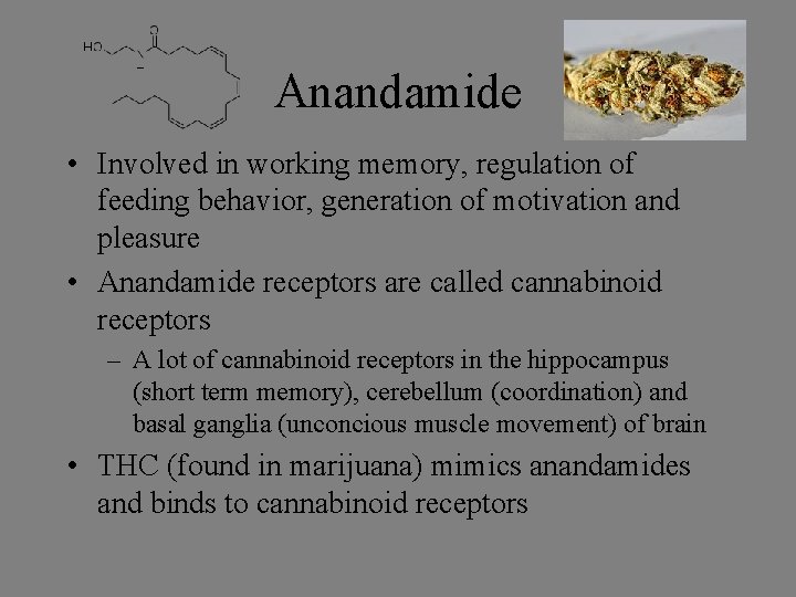 Anandamide • Involved in working memory, regulation of feeding behavior, generation of motivation and