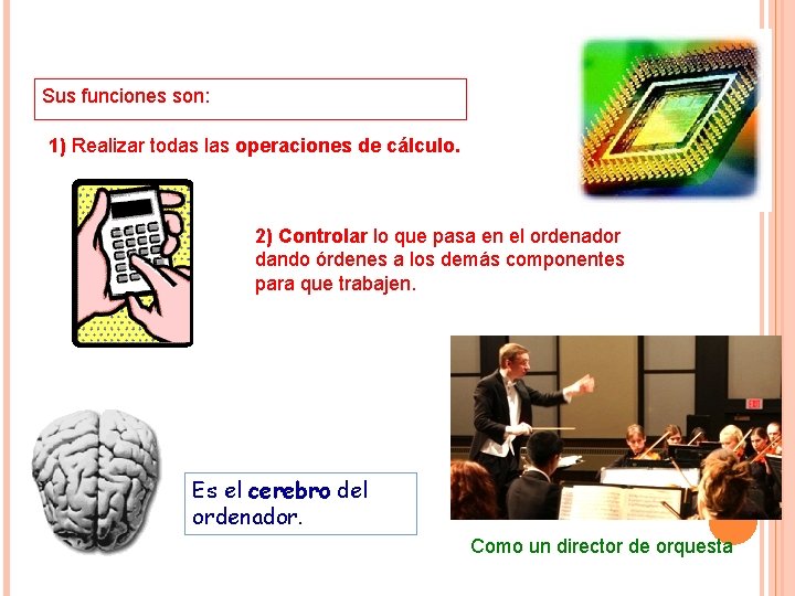 Sus funciones son: 1) Realizar todas las operaciones de cálculo. 2) Controlar lo que