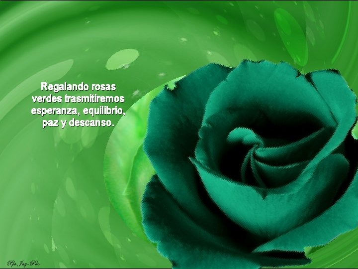 Regalando rosas verdes trasmitiremos esperanza, equilibrio, paz y descanso. 