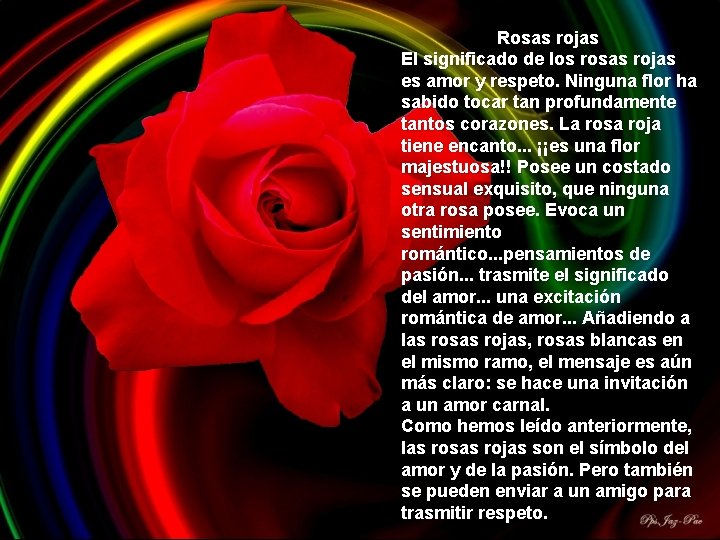 Rosas rojas El significado de los rosas rojas es amor y respeto. Ninguna flor