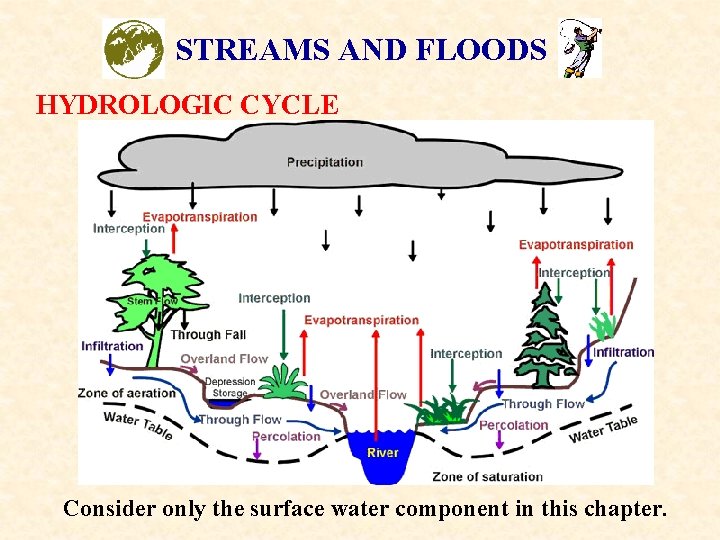 STREAMS AND FLOODS HYDROLOGIC CYCLE Consider only the surface water component in this chapter.