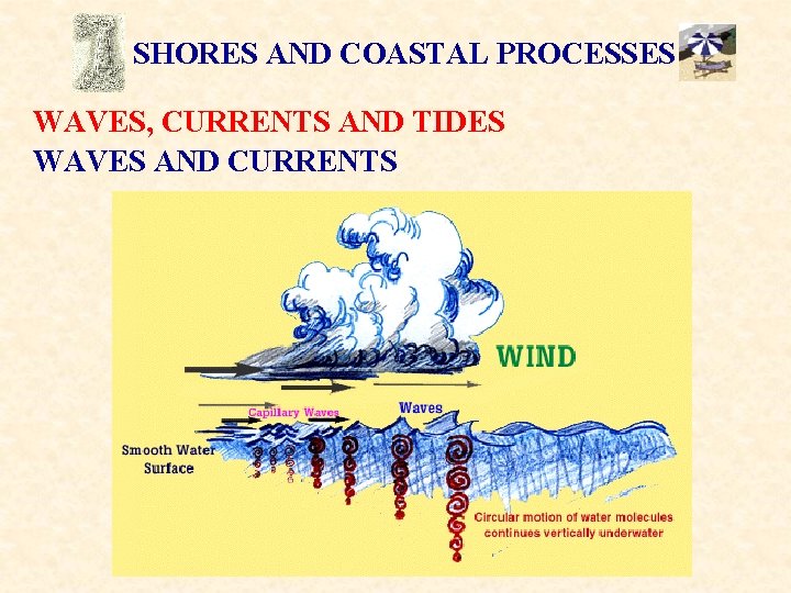 SHORES AND COASTAL PROCESSES WAVES, CURRENTS AND TIDES WAVES AND CURRENTS 