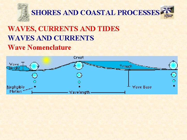 SHORES AND COASTAL PROCESSES WAVES, CURRENTS AND TIDES WAVES AND CURRENTS Wave Nomenclature 