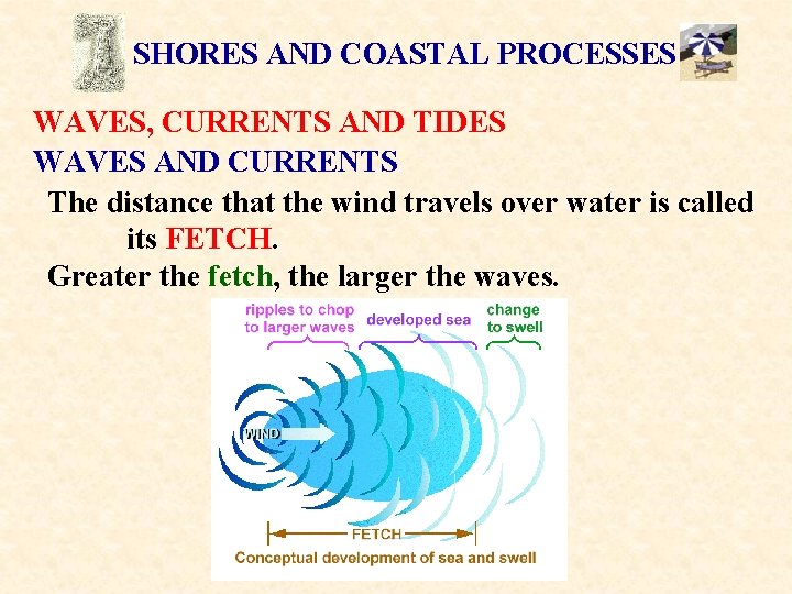 SHORES AND COASTAL PROCESSES WAVES, CURRENTS AND TIDES WAVES AND CURRENTS The distance that