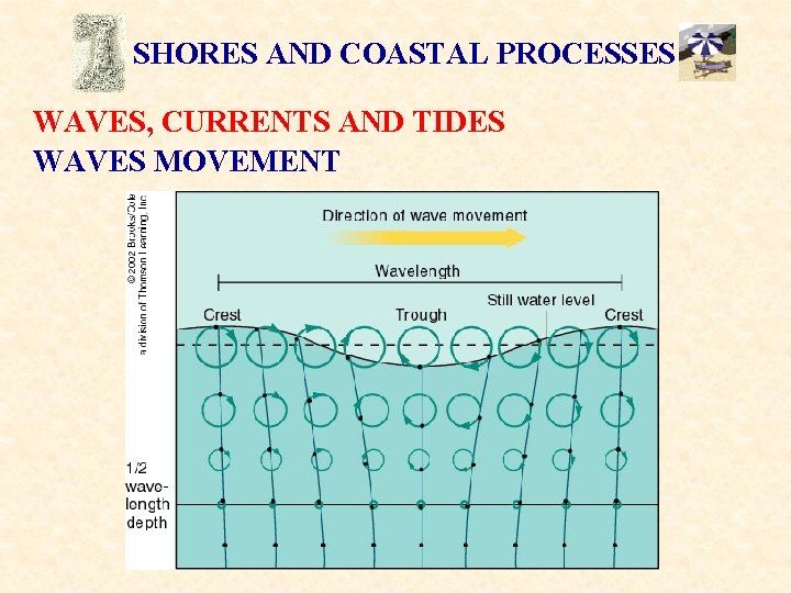SHORES AND COASTAL PROCESSES WAVES, CURRENTS AND TIDES WAVES MOVEMENT 