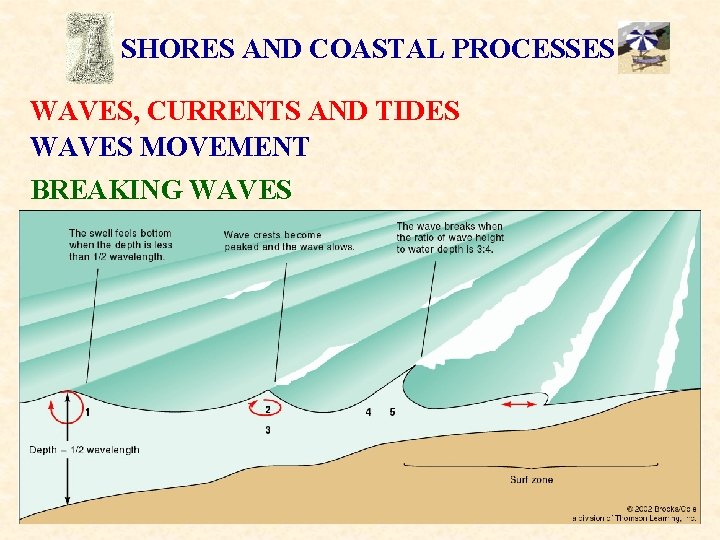 SHORES AND COASTAL PROCESSES WAVES, CURRENTS AND TIDES WAVES MOVEMENT BREAKING WAVES 