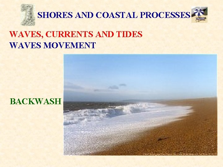 SHORES AND COASTAL PROCESSES WAVES, CURRENTS AND TIDES WAVES MOVEMENT BACKWASH 