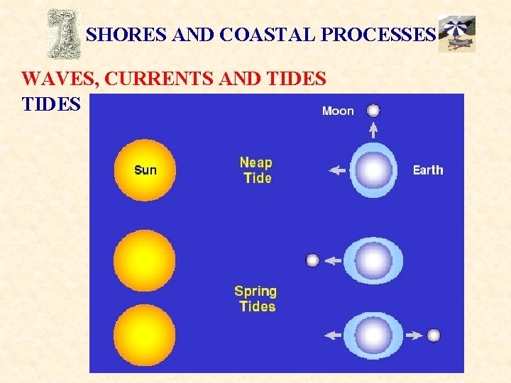 SHORES AND COASTAL PROCESSES WAVES, CURRENTS AND TIDES 