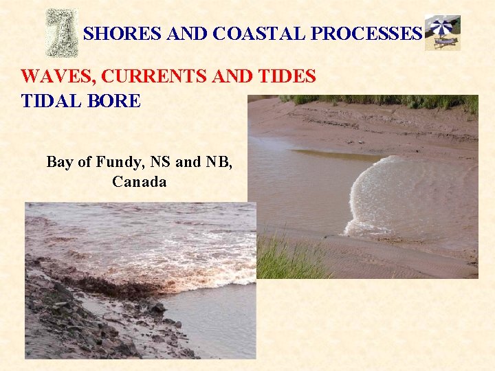 SHORES AND COASTAL PROCESSES WAVES, CURRENTS AND TIDES TIDAL BORE Bay of Fundy, NS