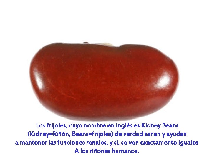 Los frijoles, cuyo nombre en inglés es Kidney Beans (Kidney=Riñón, Beans=frijoles) de verdad sanan