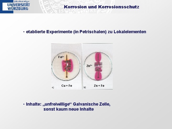 Korrosion und Korrosionsschutz • etablierte Experimente (in Petrischalen) zu Lokalelementen Fe 2+ Zn 2+