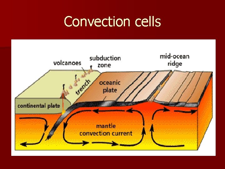 Convection cells 