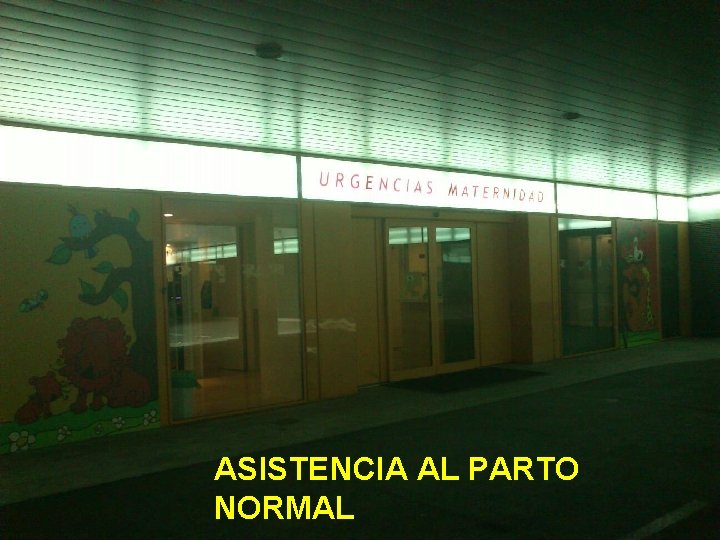 ASISTENCIA AL PARTO NORMAL 18 