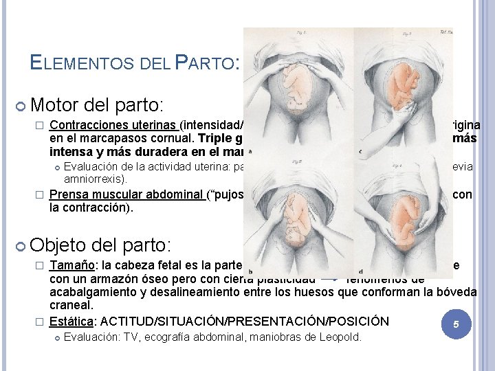 ELEMENTOS DEL PARTO: Motor � Contracciones uterinas (intensidad/frecuencia/duración). El estímulo se origina en el