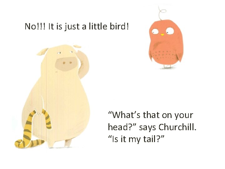 No!!! It is just a little bird! “What’s that on your head? ” says