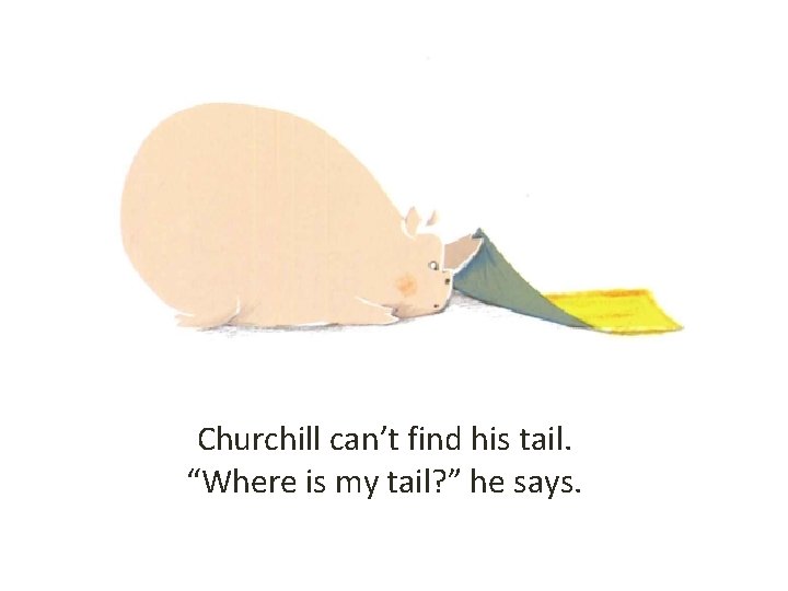 Churchill can’t find his tail. “Where is my tail? ” he says. 