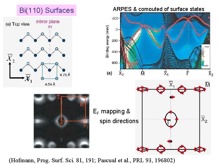 Bi(110) Surfaces ARPES & computed of surface states EF mapping & spin directions (Hofmann,