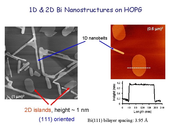 1 D & 2 D Bi Nanostructures on HOPG (0. 6 m)2 1 D