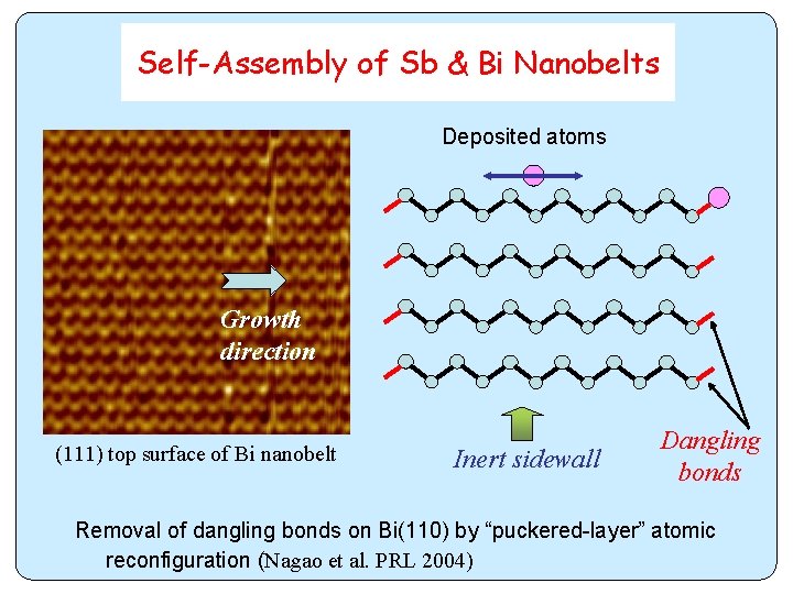 Self-Assembly of Sb & Bi Nanobelts Deposited atoms Growth direction (111) top surface of