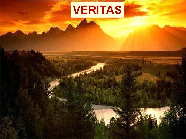VERITAS VERITAS