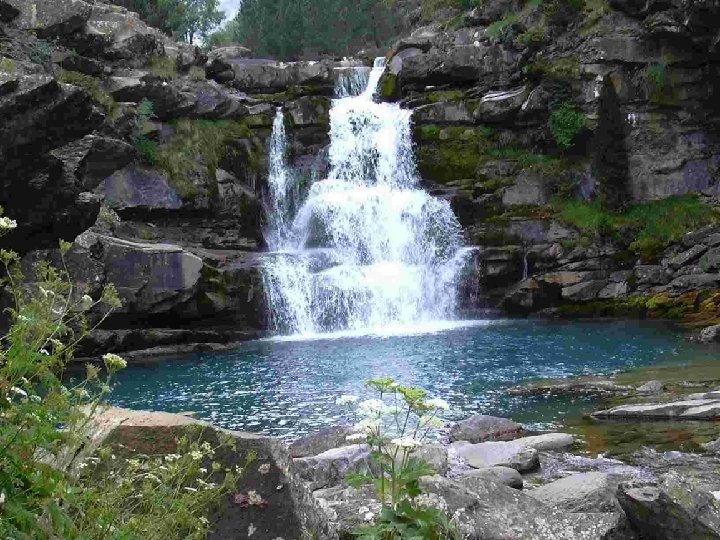 Los vestidos y la Naturaleza • “Las granadas, compuestas de gran número de granos Los vestidos y la Naturaleza • “Las granadas, compuestas de gran número de granos