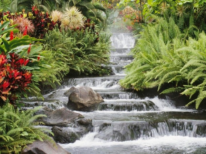 La Naturaleza • La idea, en general, es la revalorización de la Naturaleza, del La Naturaleza • La idea, en general, es la revalorización de la Naturaleza, del