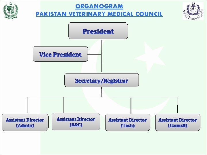 ORGANOGRAM PAKISTAN VETERINARY MEDICAL COUNCIL 