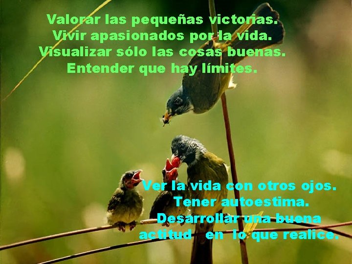 Valorar las pequeñas victorias. Vivir apasionados por la vida. Visualizar sólo las cosas buenas.