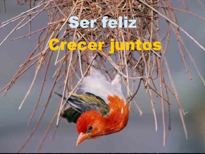 Ser feliz Crecer juntos 