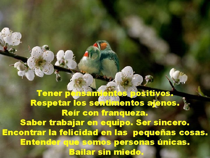 Tener pensamientos positivos. Respetar los sentimentos ajenos. Reír con franqueza. Saber trabajar en equipo.