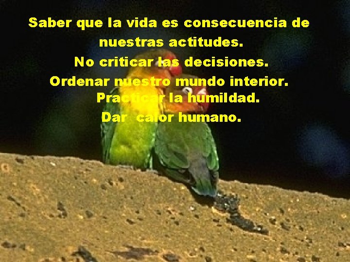 Saber que la vida es consecuencia de nuestras actitudes. No criticar las decisiones. Ordenar