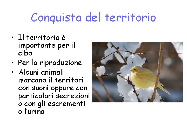 Conquista del territorio • Il territorio è importante per il cibo • Per la