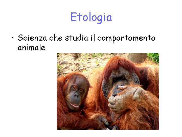 Etologia • Scienza che studia il comportamento animale 
