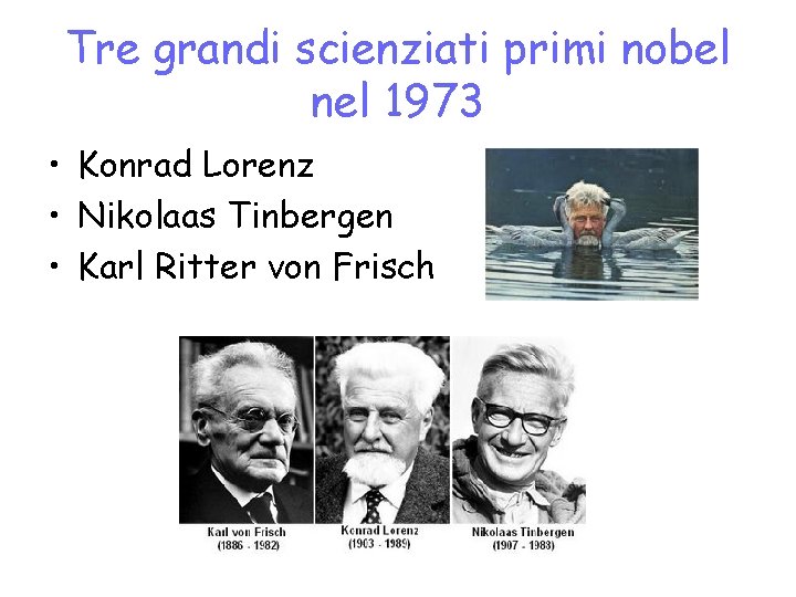 Tre grandi scienziati primi nobel nel 1973 • Konrad Lorenz • Nikolaas Tinbergen •