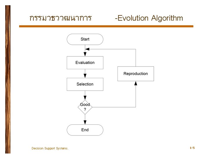 กรรมวธววฒนาการ Decision Support Systems. -Evolution Algorithm 1 -5 