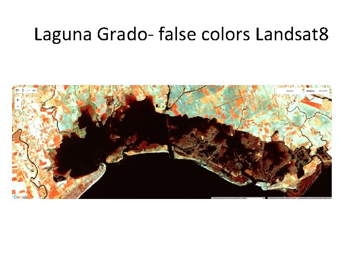 Laguna Grado- false colors Landsat 8 