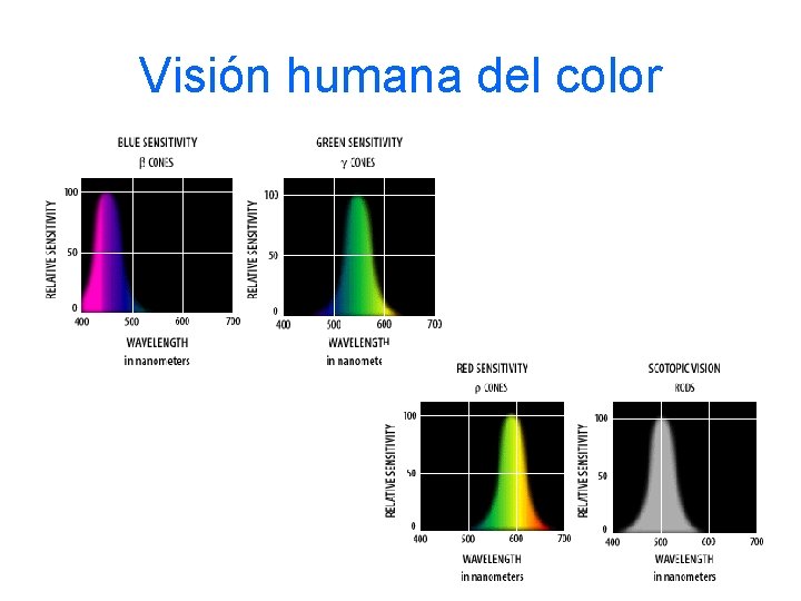 Visión humana del color 