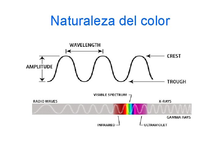 Naturaleza del color 