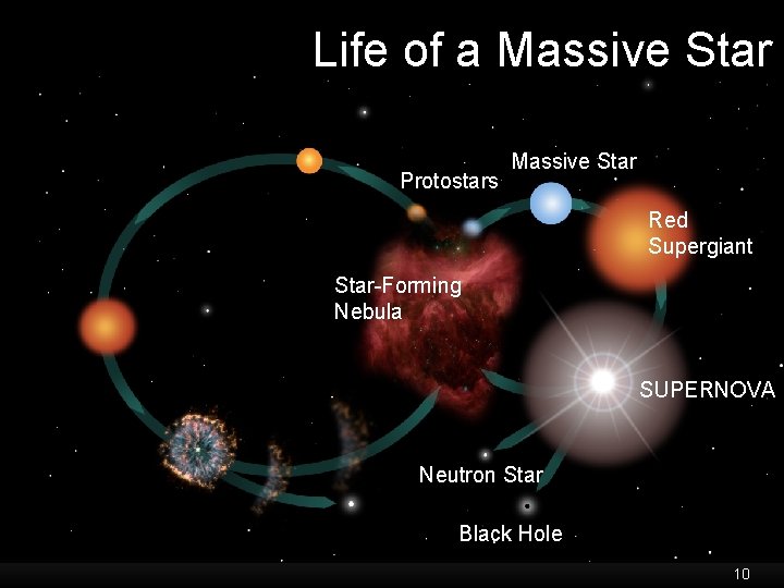 Life of a Massive Star Protostars Massive Star Red Supergiant Star-Forming Nebula SUPERNOVA Neutron